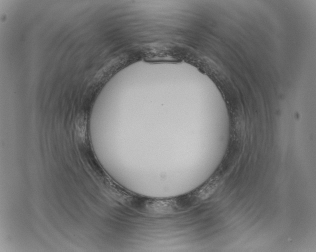 X0000071770129200607282222