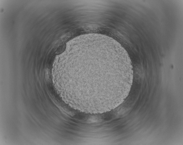 X0000071770130200607282222