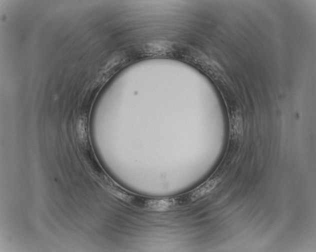 X0000071770131200607282222