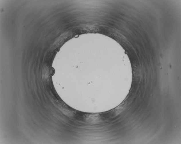 X0000071770132200607282222