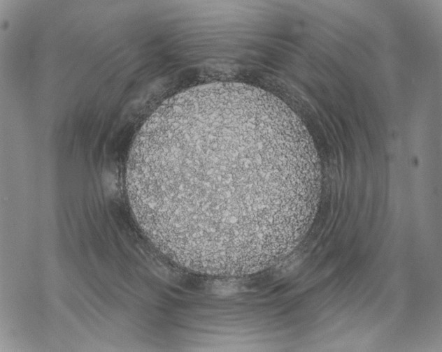 X0000071770134200607282222