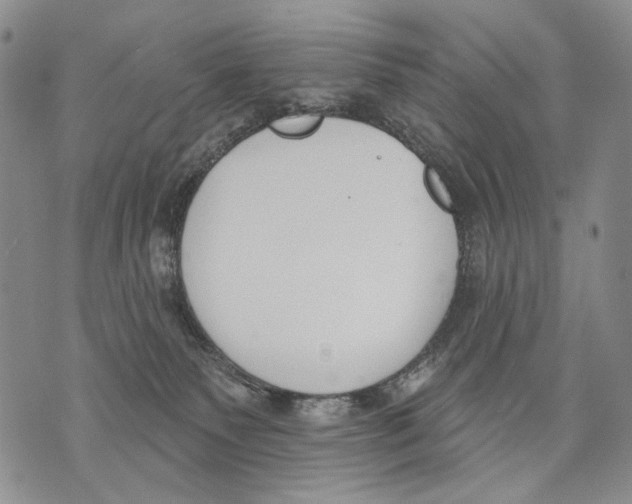 X0000071770135200607282222