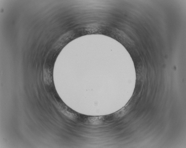 X0000071770136200607282222