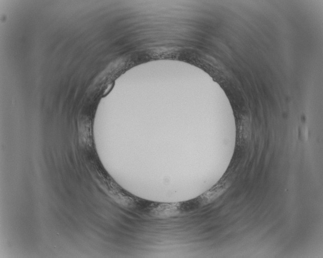 X0000071770138200607282222