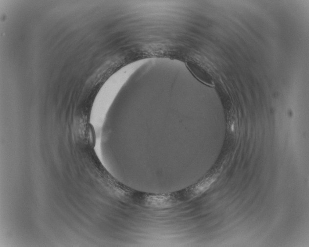 X0000071770139200607282222