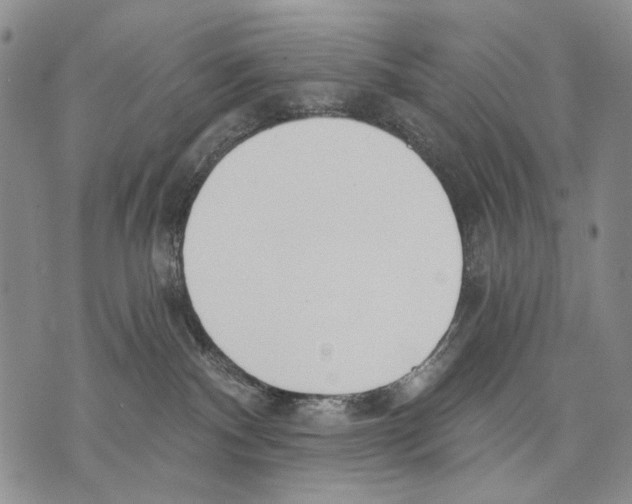 X0000071770140200607282222