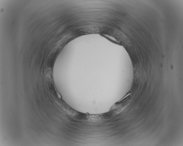 X0000071770141200607282222