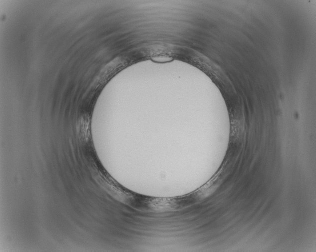 X0000071770142200607282222