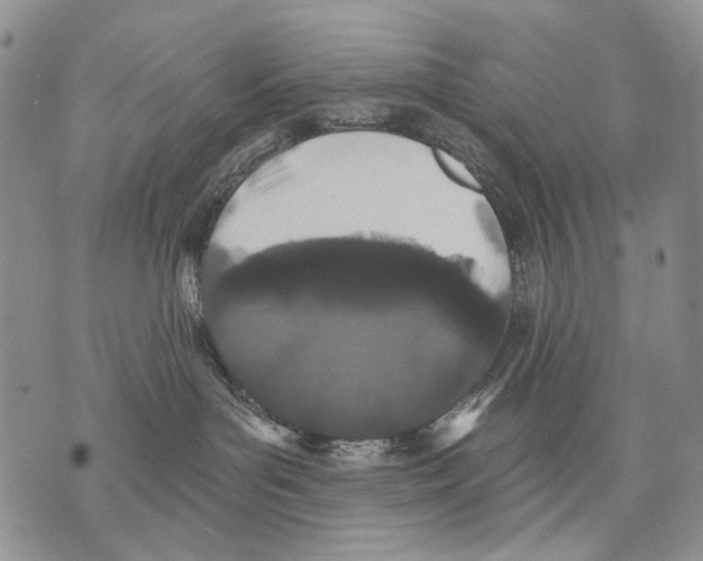 X0000071770143200607282222