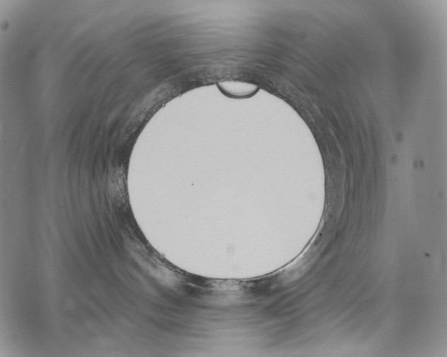 X0000071770144200607282222