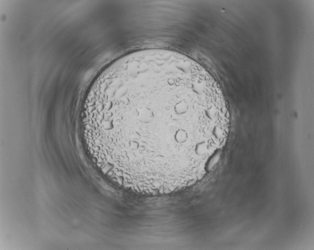 X0000071770145200607282221