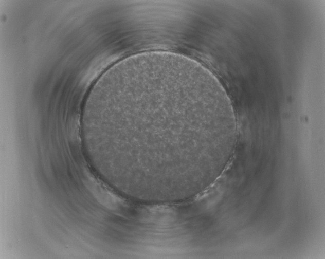 X0000071770146200607282221