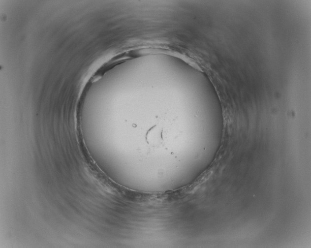 X0000071770148200607282222