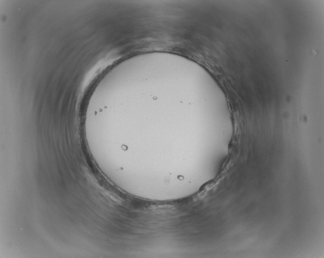 X0000071770150200607282222