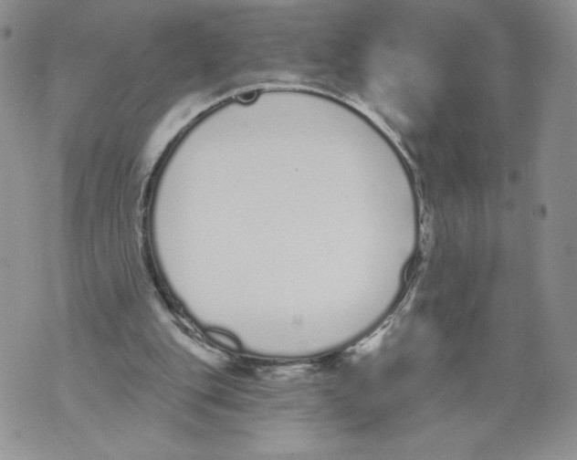 X0000071770151200607282222