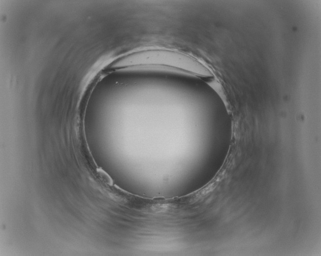 X0000071770152200607282222