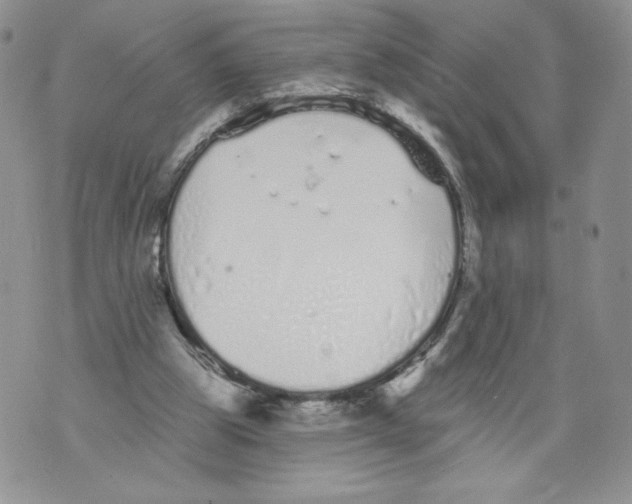 X0000071770153200607282222