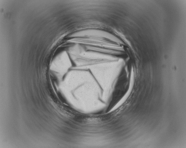 X0000071770154200607282222