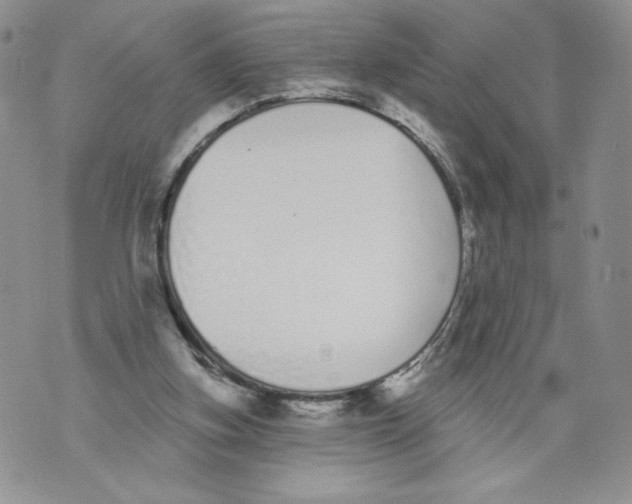 X0000071770155200607282222