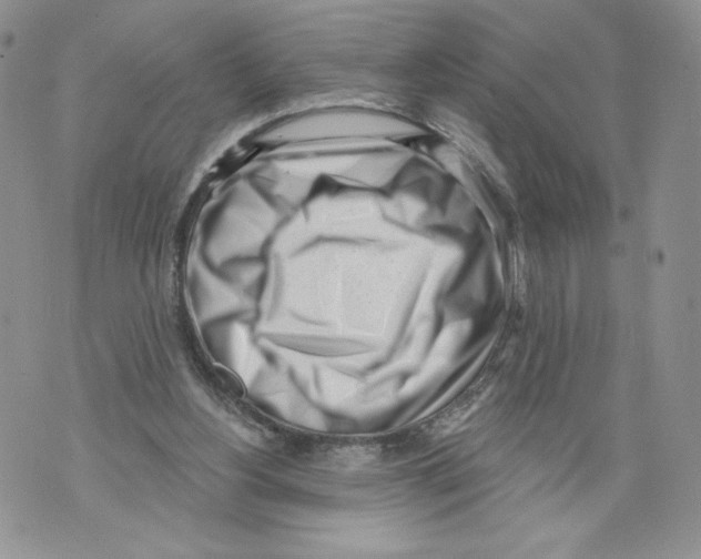 X0000071770156200607282222