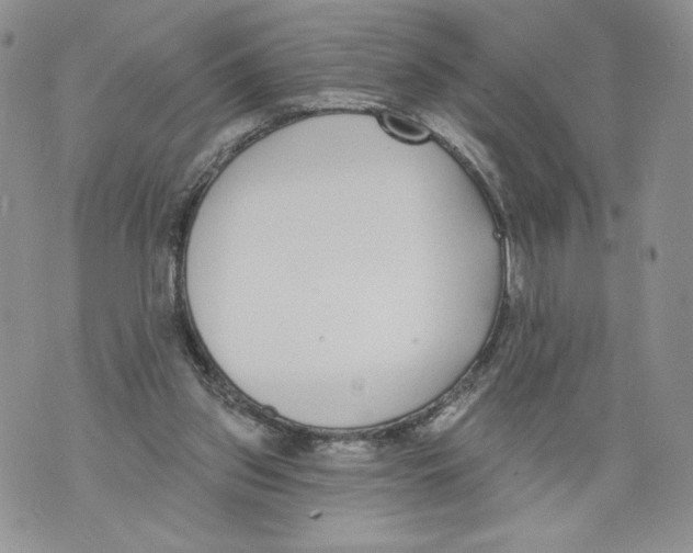 X0000071770157200607282222