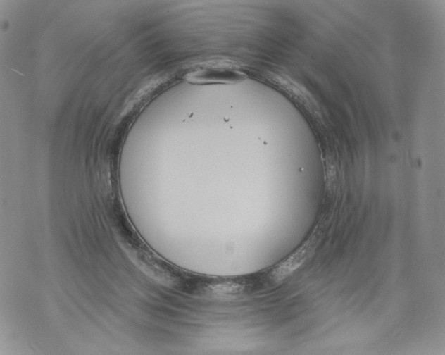 X0000071770158200607282222