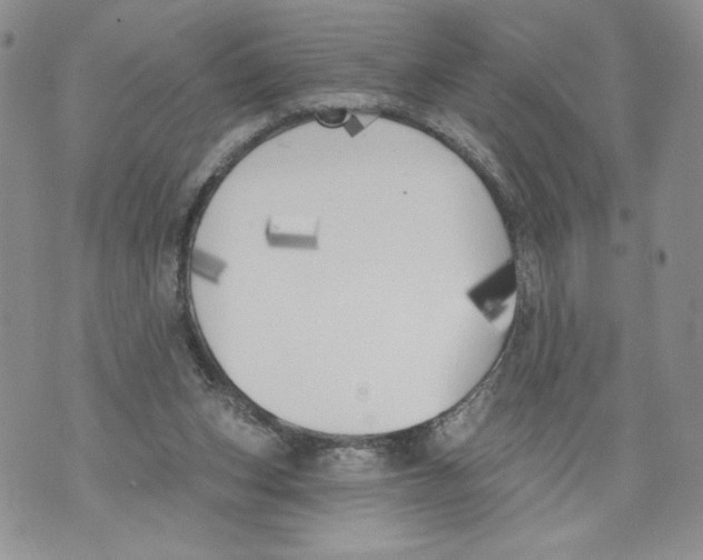 X0000071770159200607282222