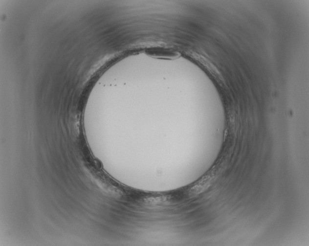 X0000071770160200607282222