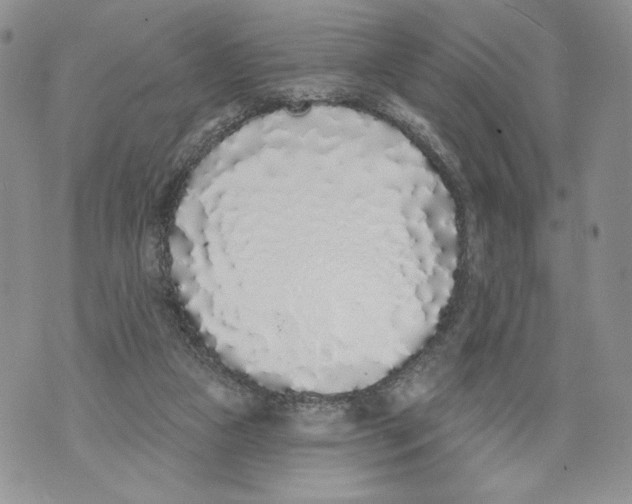 X0000071770161200607282222