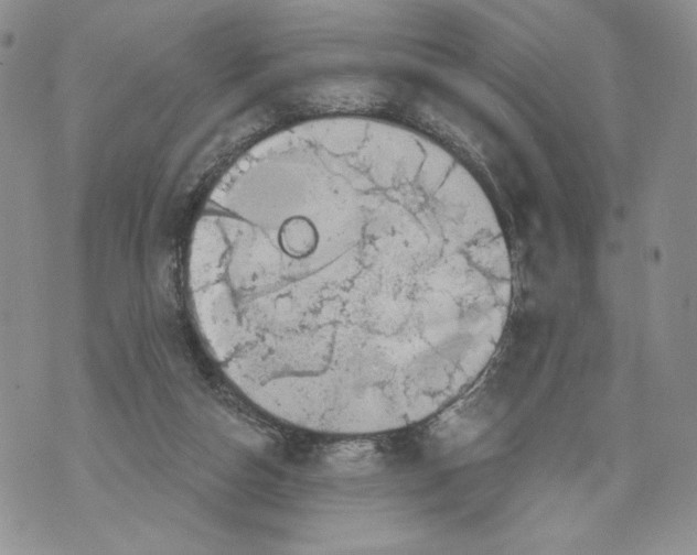 X0000071770162200607282222