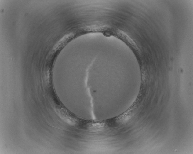 X0000071770163200607282222