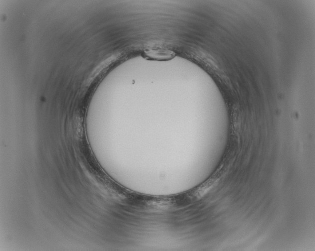 X0000071770164200607282222