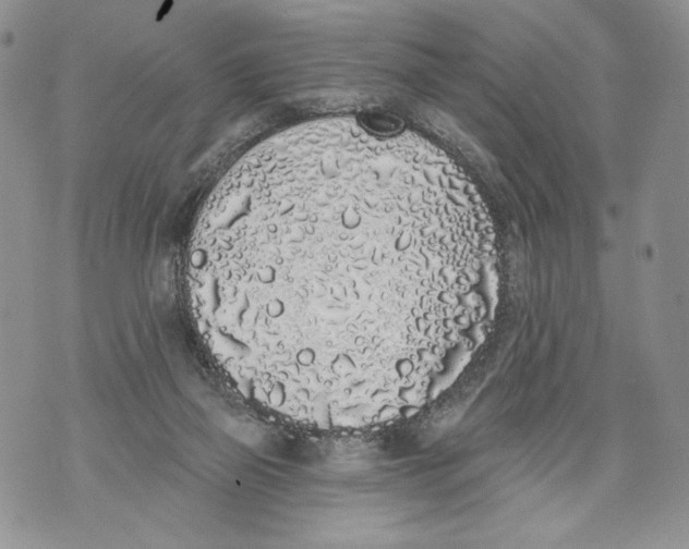 X0000071770165200607282222