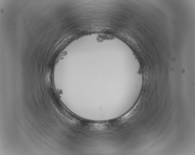 X0000071770166200607282222