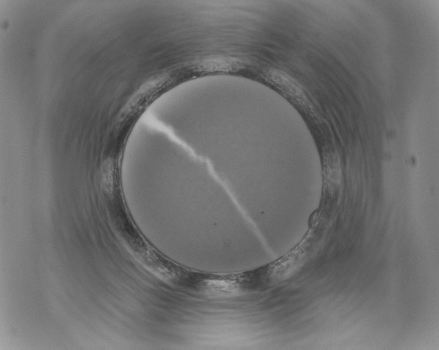 X0000071770167200607282222