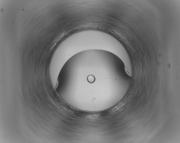 X0000071770168200607282222