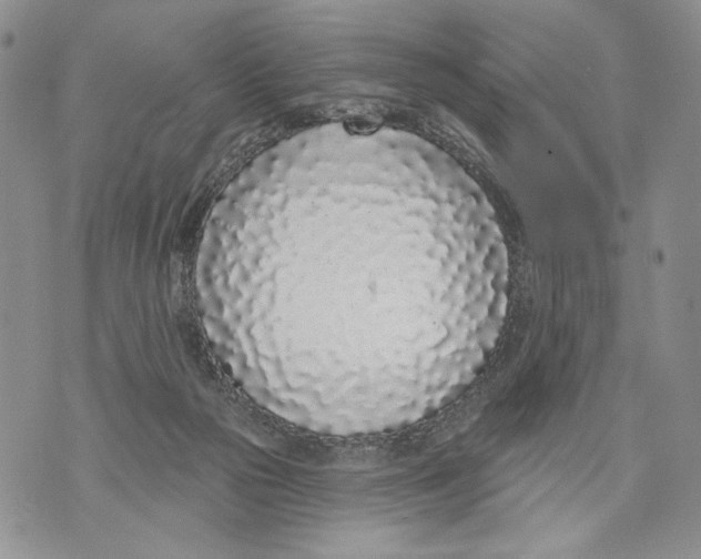 X0000071770169200607282222