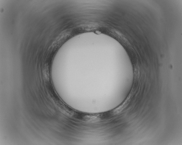 X0000071770170200607282222