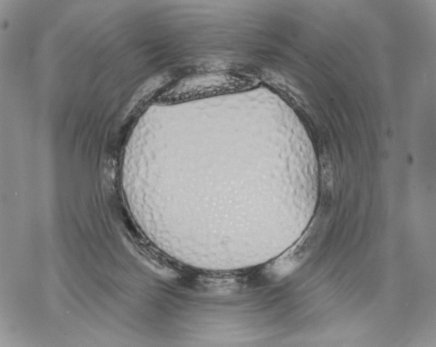 X0000071770171200607282222