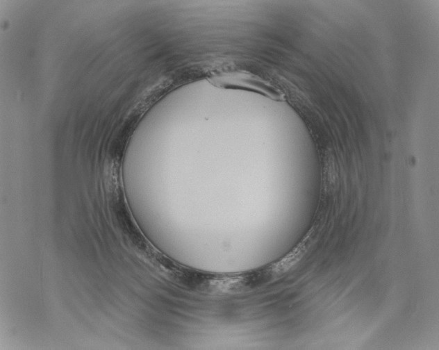 X0000071770172200607282222