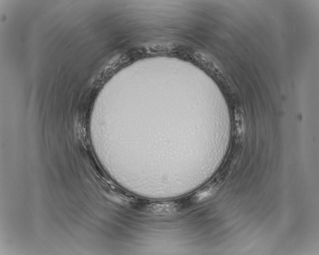 X0000071770173200607282222