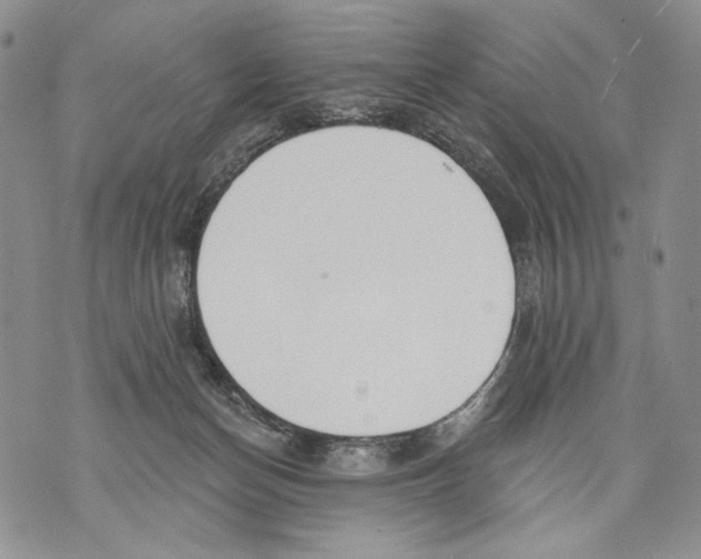 X0000071770174200607282222