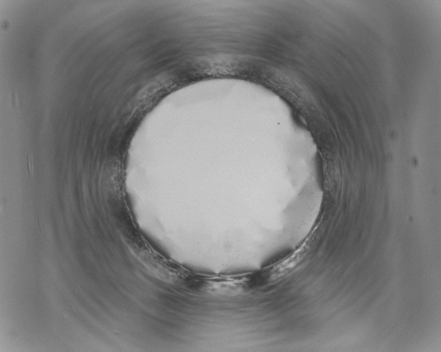 X0000071770175200607282222