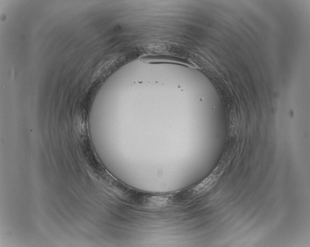 X0000071770176200607282222