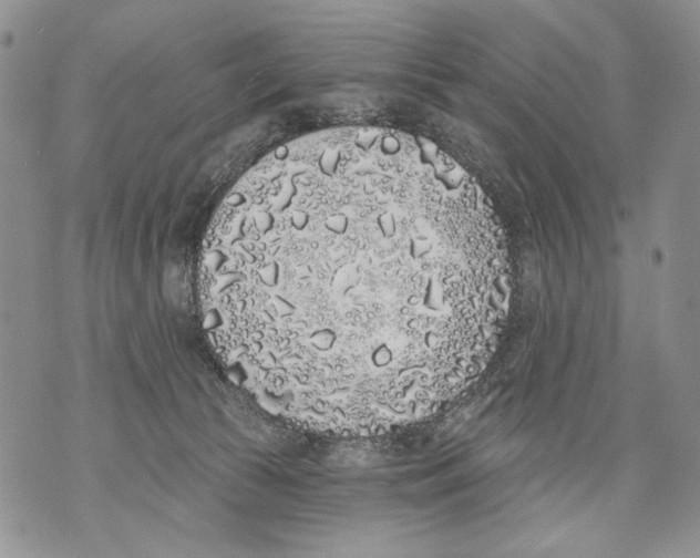 X0000071770177200607282222