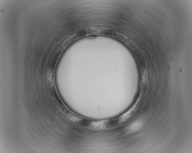 X0000071770178200607282222