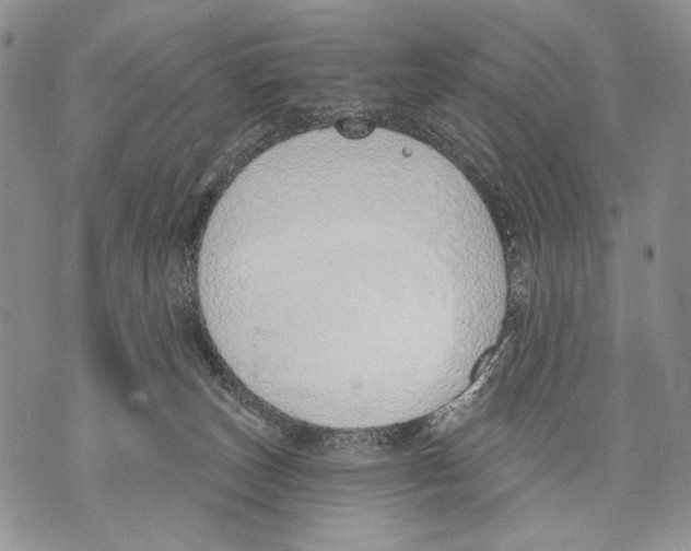 X0000071770179200607282222