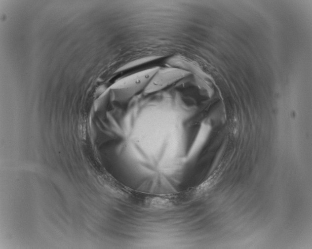 X0000071770180200607282222