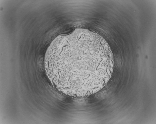 X0000071770181200607282222