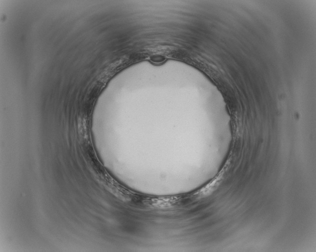 X0000071770182200607282222